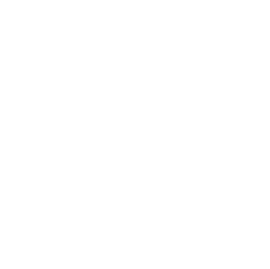 Ana Logo